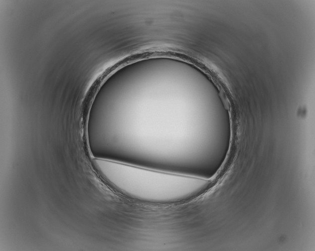 X0000090860973200707270930