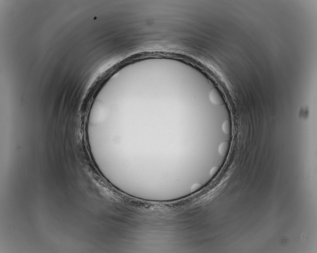 X0000090860974200707270930