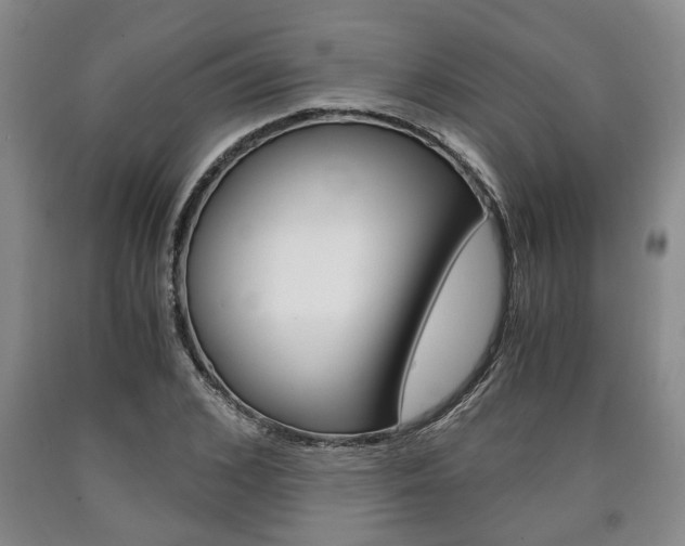 X0000090860976200707270930