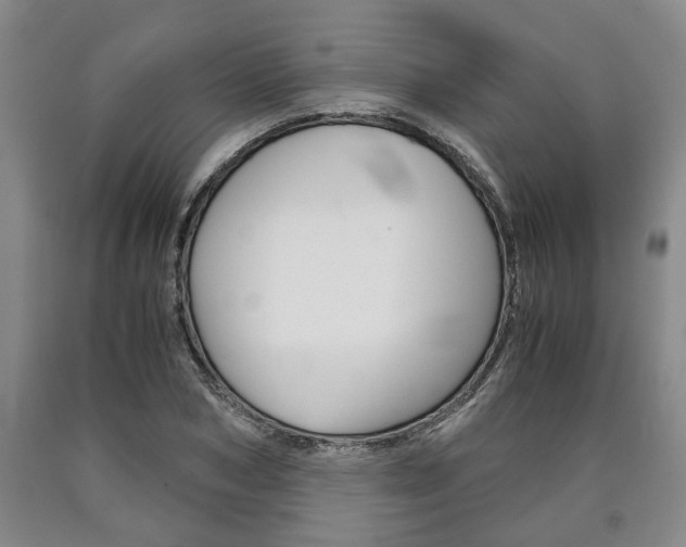 X0000090860978200707270930