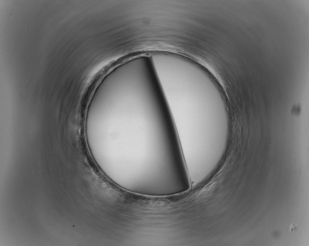 X0000090860979200707270930