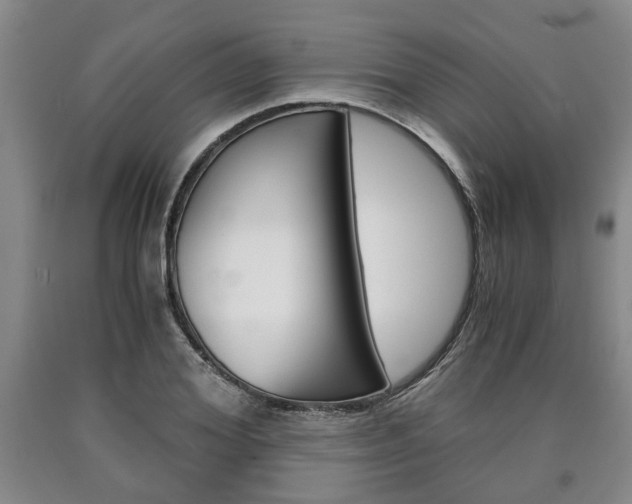 X0000090860980200707270930