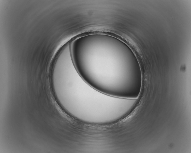 X0000090860981200707270930