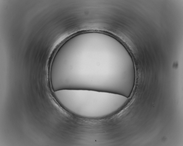 X0000090860982200707270930