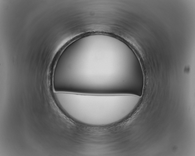 X0000090860983200707270930