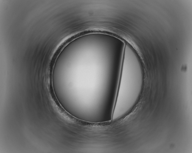 X0000090860984200707270930