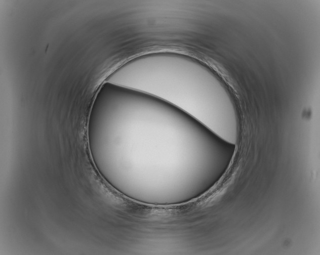 X0000090860985200707270930