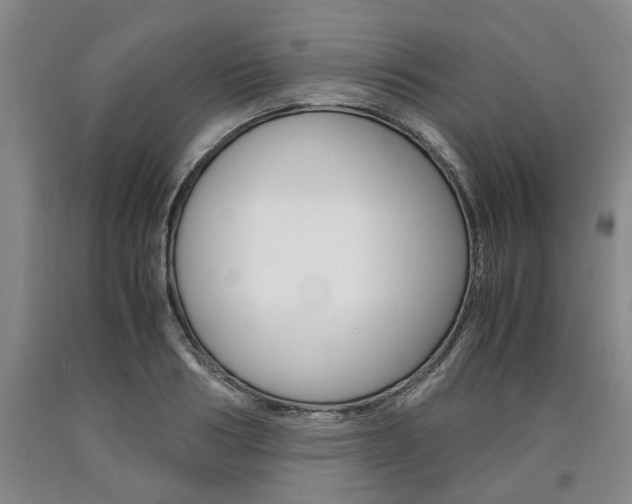 X0000090860986200707270930