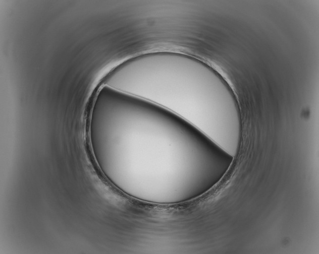 X0000090860987200707270930