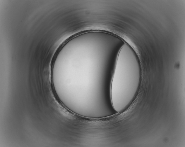 X0000090860988200707270930