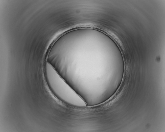X0000090860989200707270930