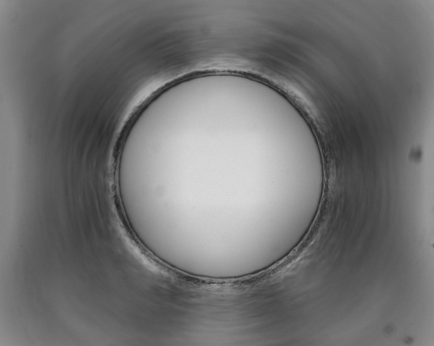 X0000090860990200707270930