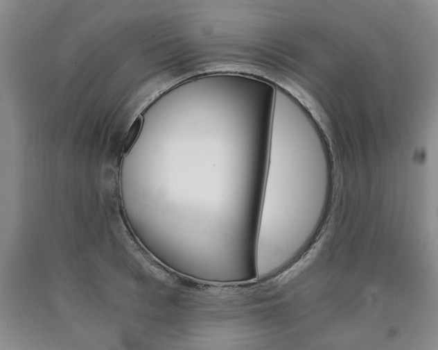 X0000090860993200707270930