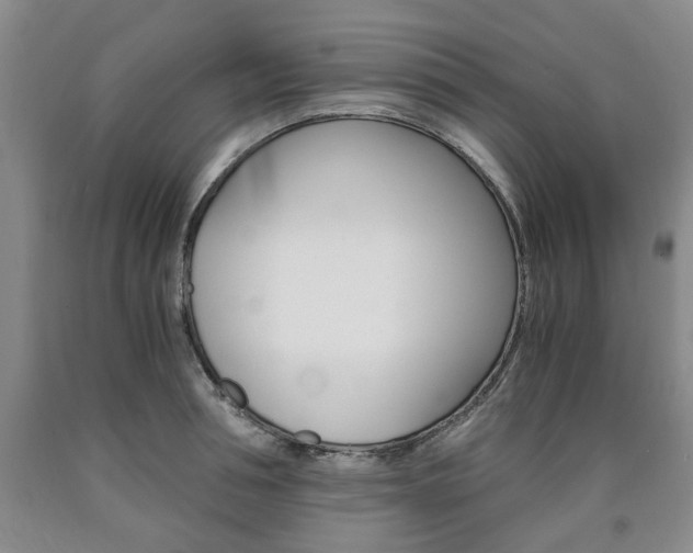 X0000090860994200707270930