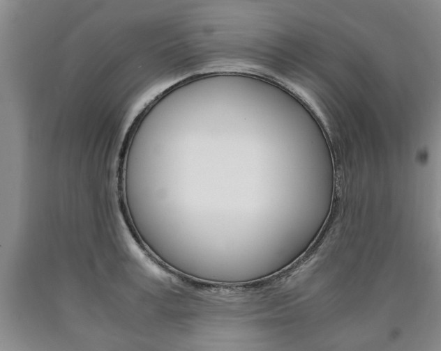 X0000090860995200707270930