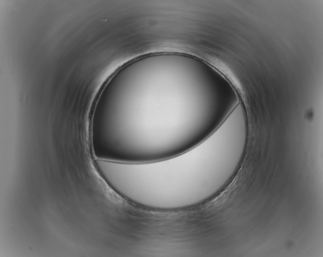 X0000090860996200707270930