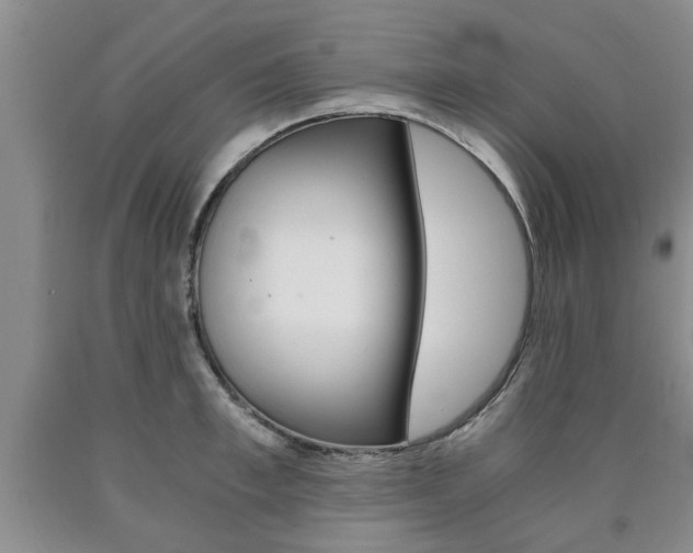 X0000090860997200707270930