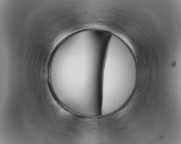 X0000090860999200707270930
