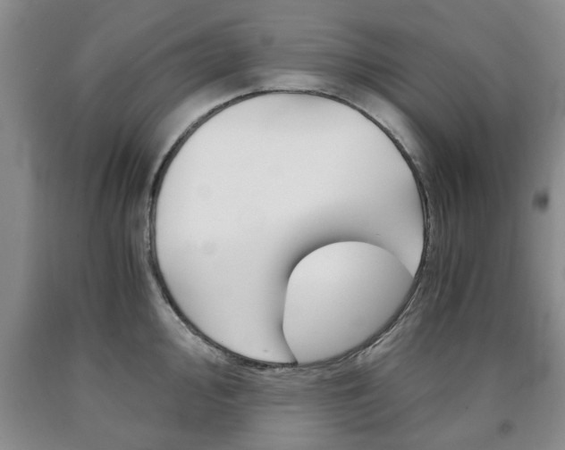 X0000090861000200707270930