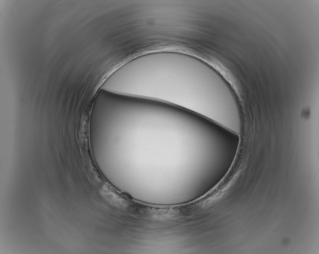 X0000090861001200707270930
