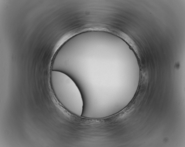 X0000090861002200707270930