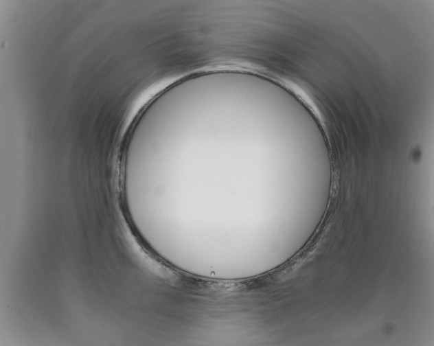 X0000090861003200707270930