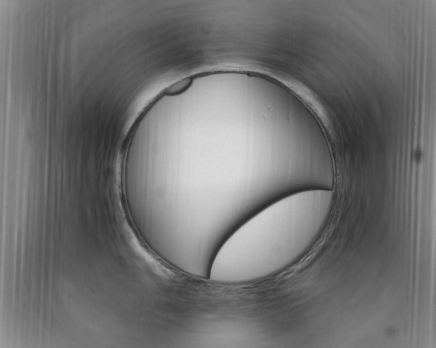 X0000090861006200707270930