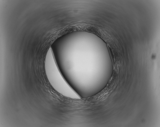 X0000090861010200707270929