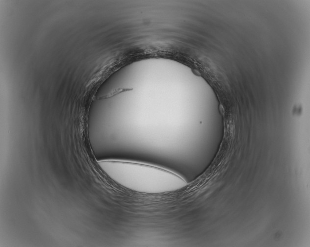 X0000090861012200707270929