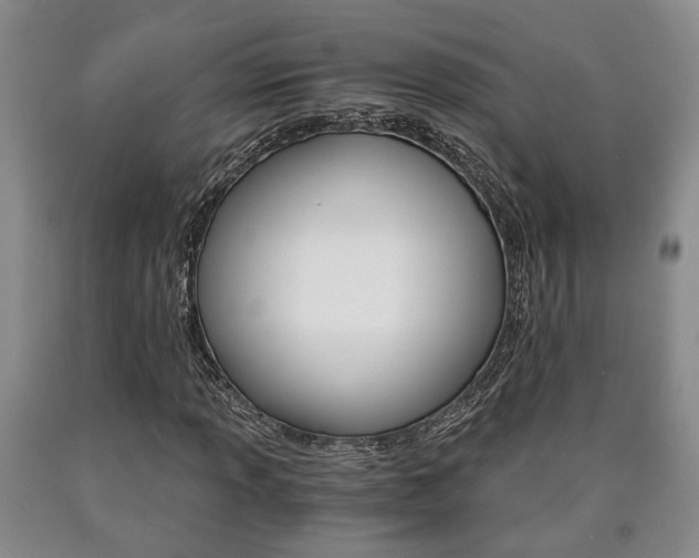 X0000090861013200707270929