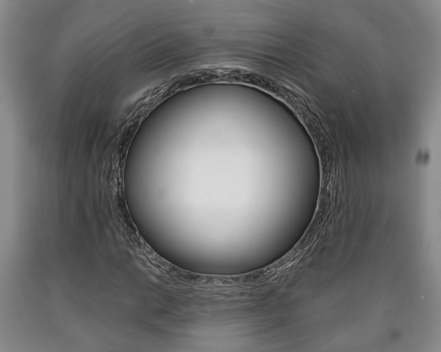 X0000090861014200707270929