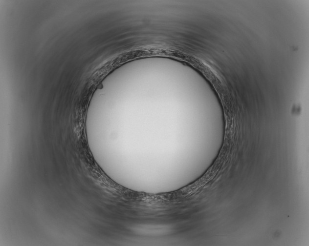 X0000090861015200707270929
