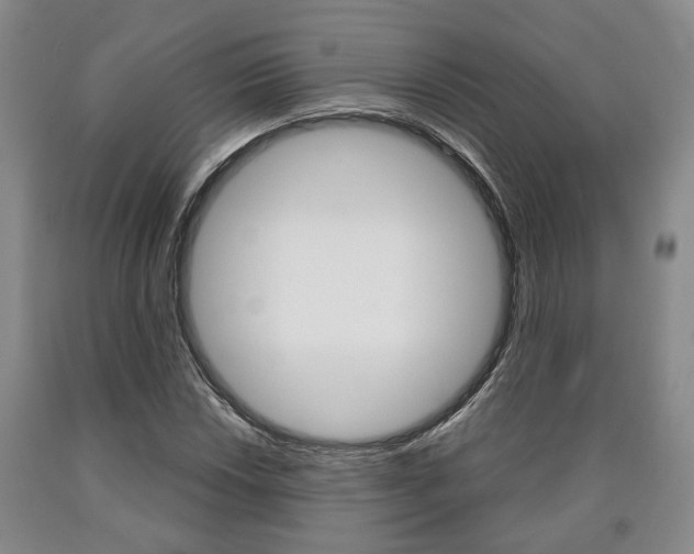 X0000090861018200707270929