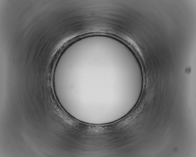 X0000090861019200707270929