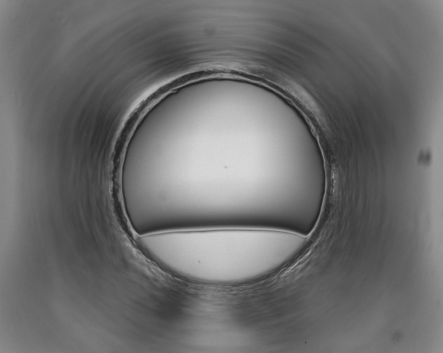 X0000090861020200707270929