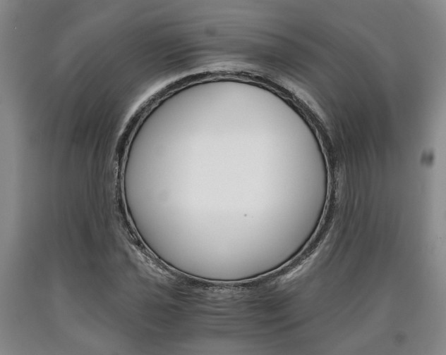 X0000090861021200707270929