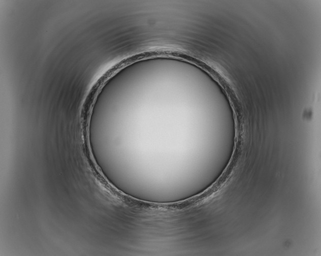 X0000090861022200707270929