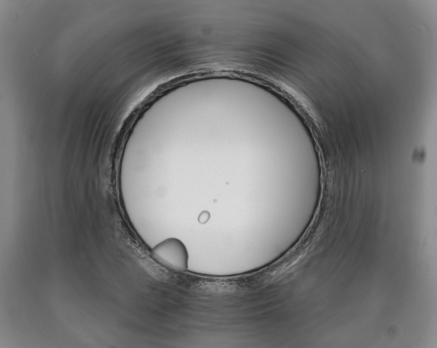 X0000090861023200707270929