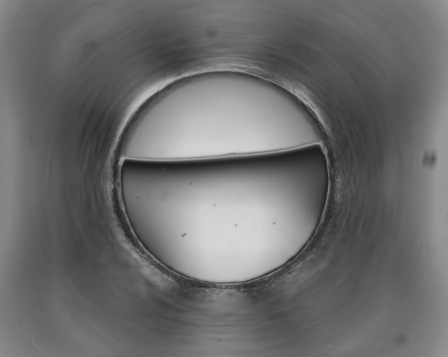 X0000090861024200707270929
