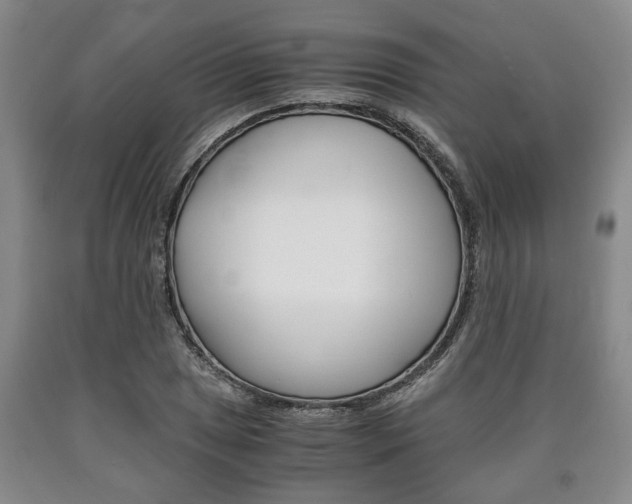 X0000090861025200707270929