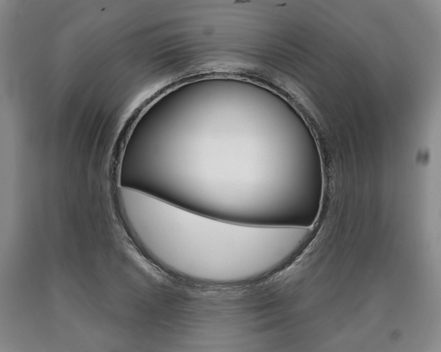 X0000090861026200707270929