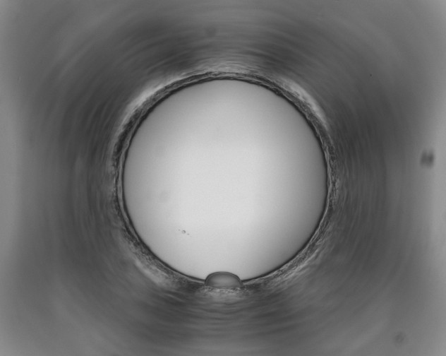 X0000090861027200707270929
