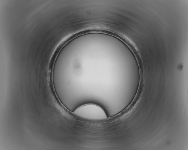X0000090861029200707270929