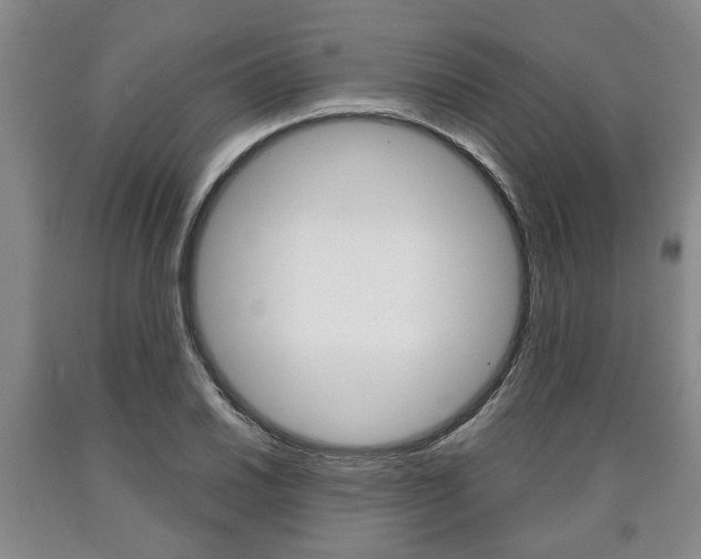X0000090861030200707270929