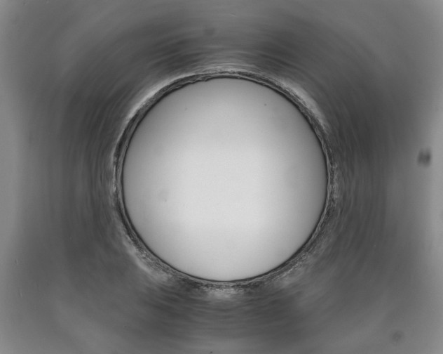X0000090861031200707270929