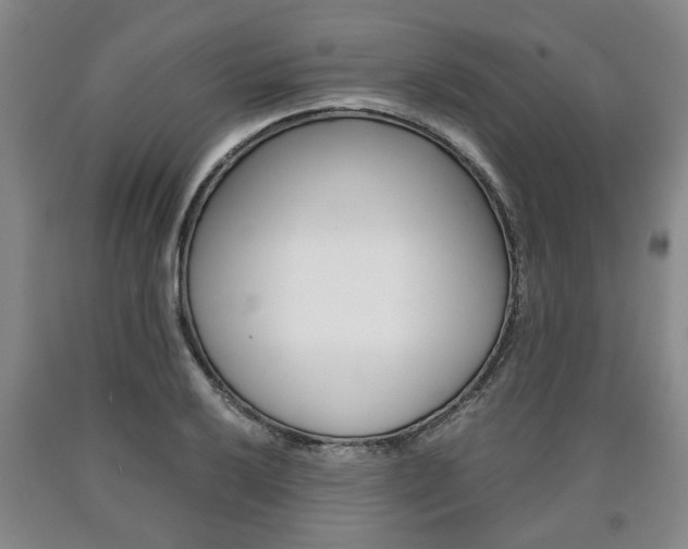 X0000090861032200707270929