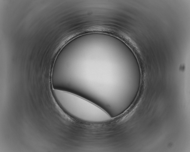 X0000090861033200707270929