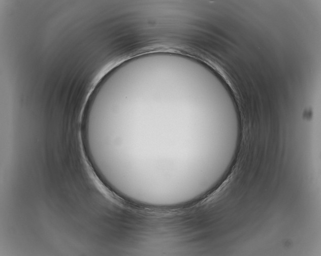 X0000090861034200707270929