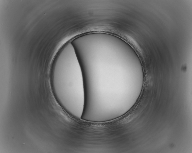 X0000090861035200707270929