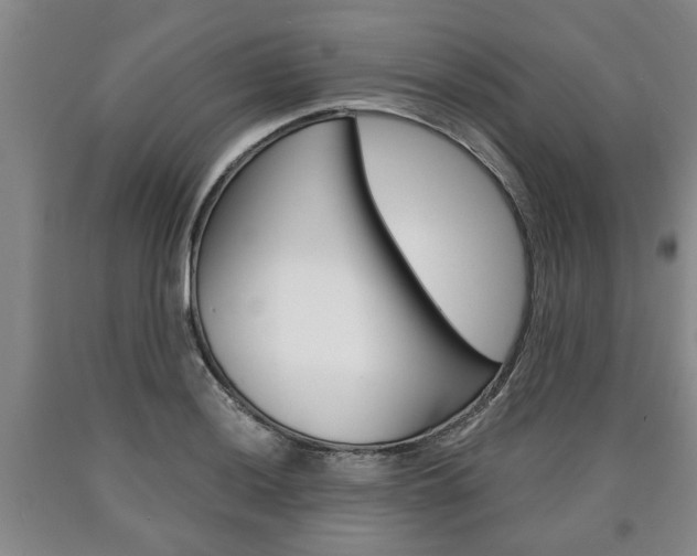 X0000090861036200707270929
